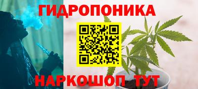 прущие крисы Славгород